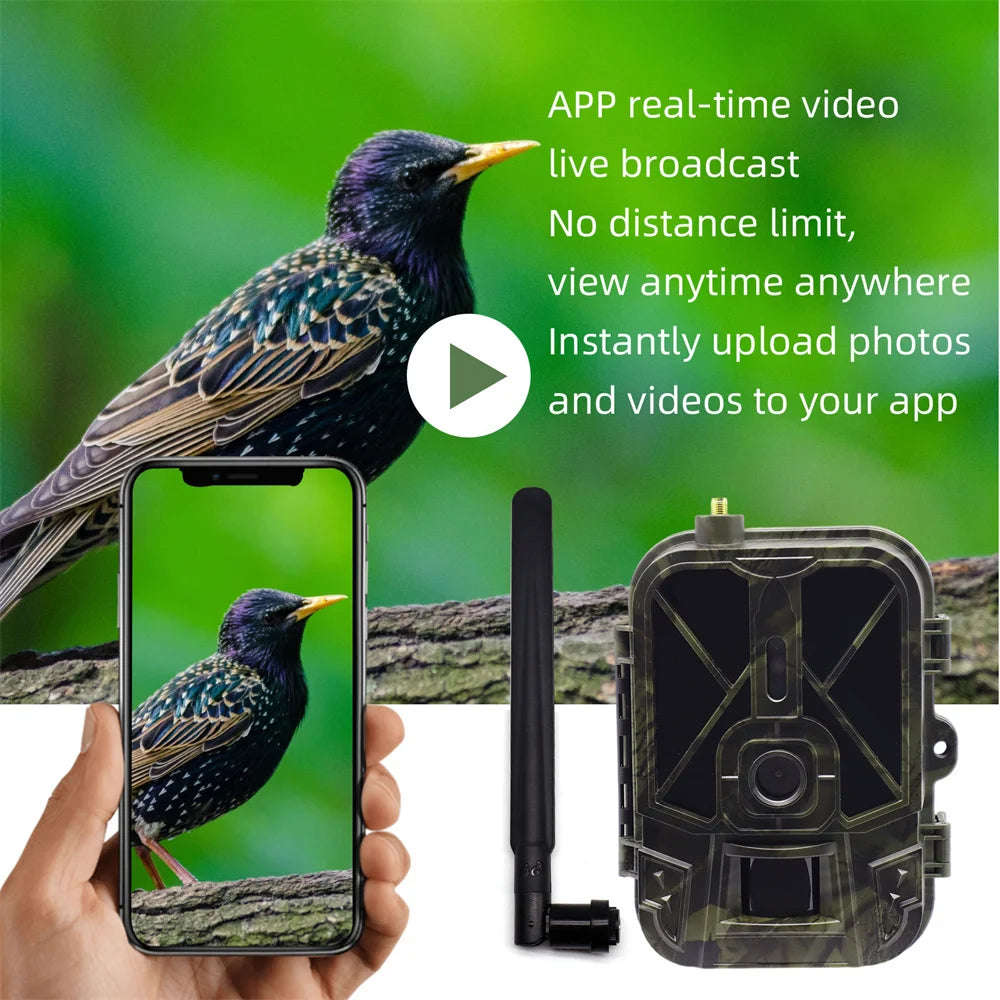 4G Cellular HD Trail Camera 36MP 4K Wireless - Supersell 